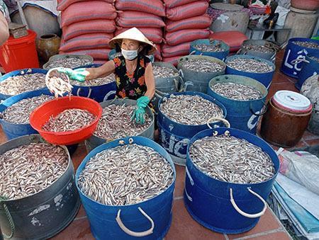 Bảo tồn làng nghề nước mắm Nam Ô gắn với phát triển F168 ⚜️ trang chủ F168 chính thức 2025 ✔ link không chặn