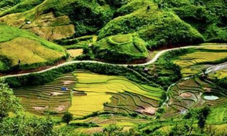 Vì sao bản người Mông – Sin Suối Hồ ngày càng “hút” khách F168 ⚜️ trang chủ F168 chính thức 2025 ✔ link không chặn?
