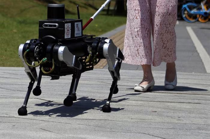 Chú chó robot dẫn đường được tích hợp công nghệ AI.