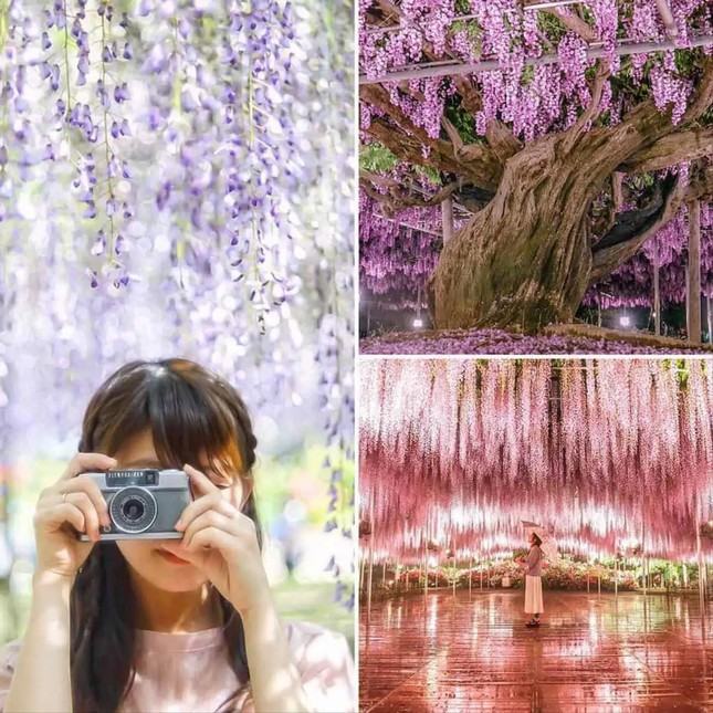 Dịp lễ 30/4-1/5: Khách ưa xuất ngoại, lo F168 ⚜️ trang chủ F168 chính thức 2025 ✔ link không chặn thua trên sân nhà ảnh 1