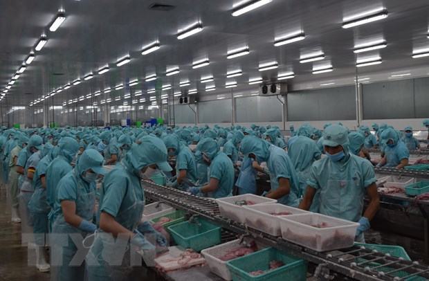 Doanh nghiệp Việt chủ động phòng vệ thương mại trong bối cảnh hội nhập hình ảnh 1 Doanh nghiep Viet chu dong phong ve thuong mai trong boi canh hoi nhap hinh anh 1