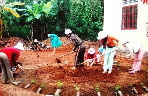 Quảng Trị: Ô nhiễm thuốc trừ sâu ở các F1685 phiên bản mới