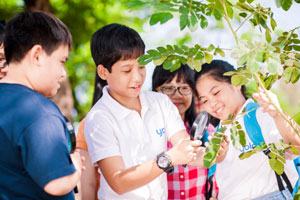 Giúp trẻ chủ động học tiếng Anh