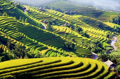 Hoàng Su Phì tổ chức Quà tặng tri ân F168 ruộng bậc thang