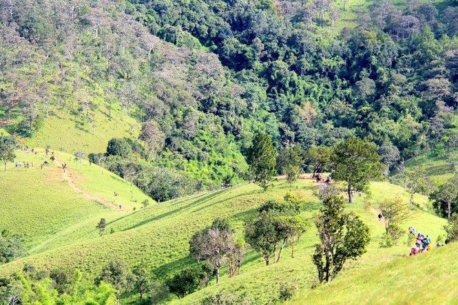 Khám phá &nbsp;cung đường đại ngàn&nbsp;Tà Năng - Phan Dũng 