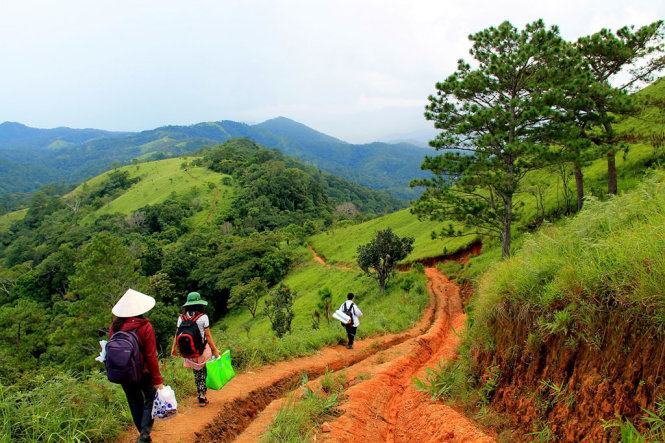 Khám phá &nbsp;cung đường đại ngàn&nbsp;Tà Năng - Phan Dũng 