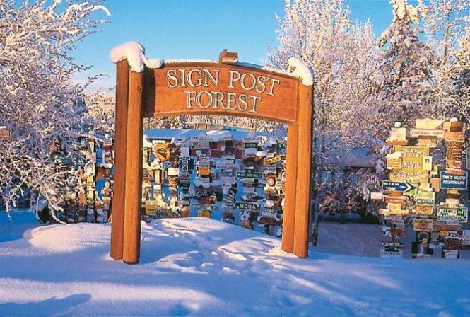 Khu rừng&nbsp;Sign post vào mùa đông - Ảnh: wordpress