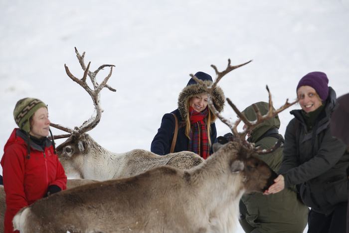 Theo chân ‘bạn đồng hành cùng ông già Noel ở Scotland - Ảnh 5.