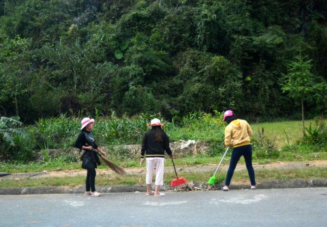 Xem hoa tam giác mạch mọc bên vệ đường&nbsp; 