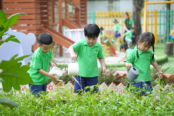 Wisdomland chính thức là thành viên của cộng đồng Eco-Schools