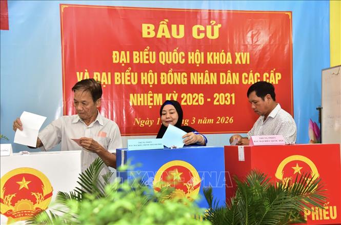 Cử tri Thành phố Hồ Chí Minh đi bỏ phiếu đạt tỷ lệ 96,67%