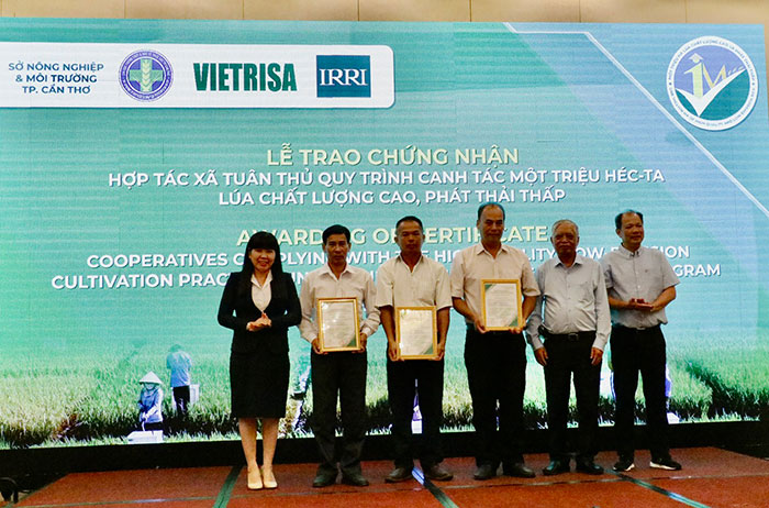 Nâng tầm giá trị gạo Việt