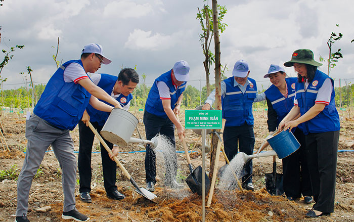 TP.HCM trồng 503 cây xanh hưởng ứng phong trào “Thành phố muôn sắc hoa”